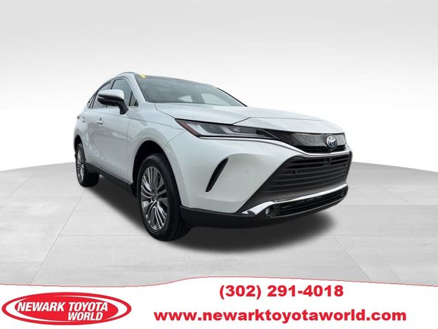 2024 Toyota Venza Limited's photo