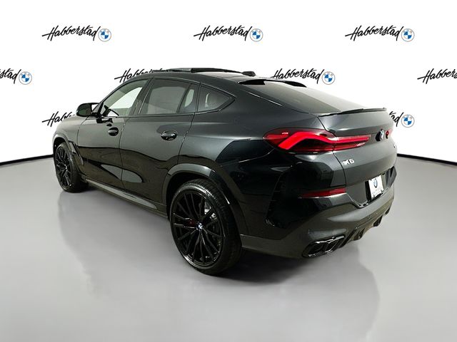 2025 BMW X6  7