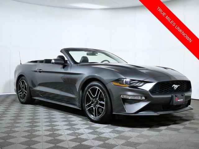 Gray (Magnetic) 2019 Ford Mustang Convertible Rear-Wheel Drive Automatic