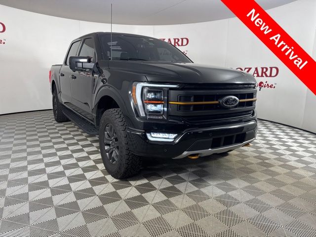 2023 Agate Black Metallic Ford F-150 Tremor 4X4 Truck