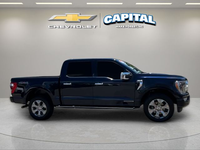 Used 2023 Blue Ford Platinum image 6