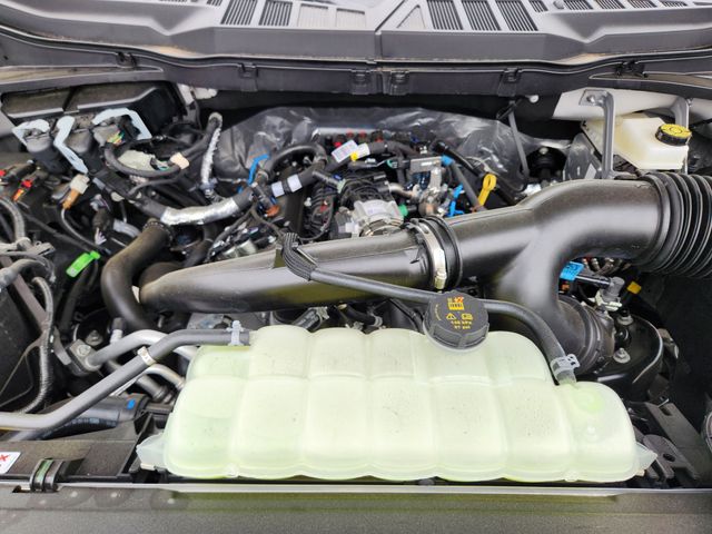 2025 Ford F-150 STX photo