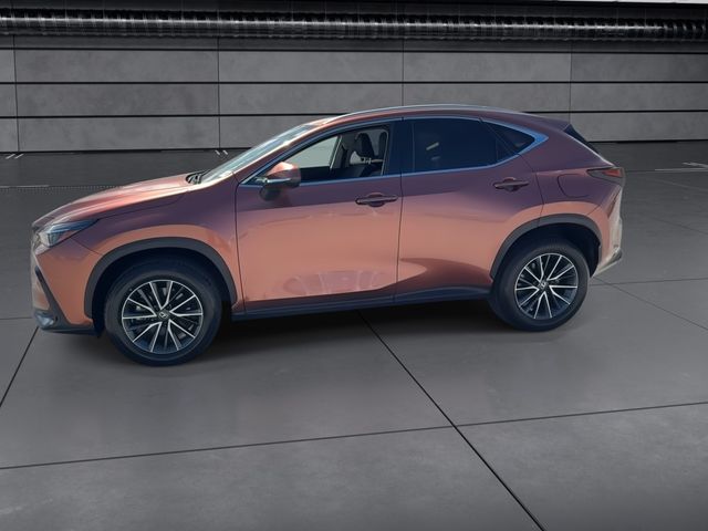 2025 Lexus NX - $39,788
