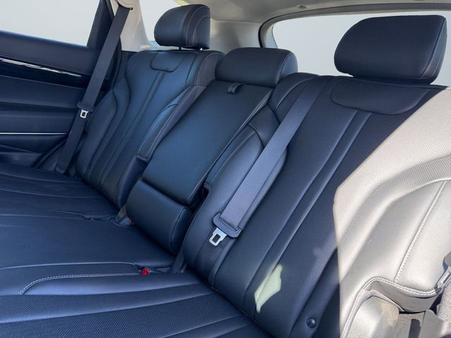 Used 2025 Blue Genesis 2.5T image 13