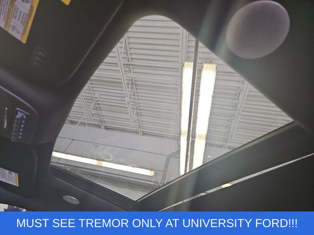Used 2023 Gray Ford Tremor image 27