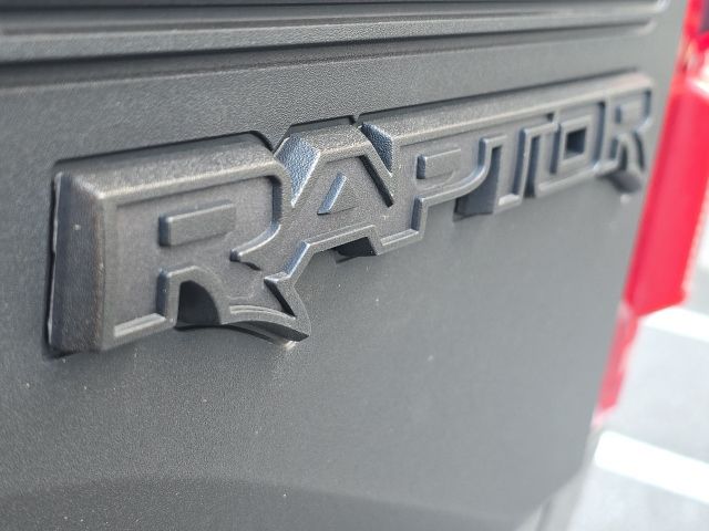 2020 Ford F-150 Raptor:C02483A