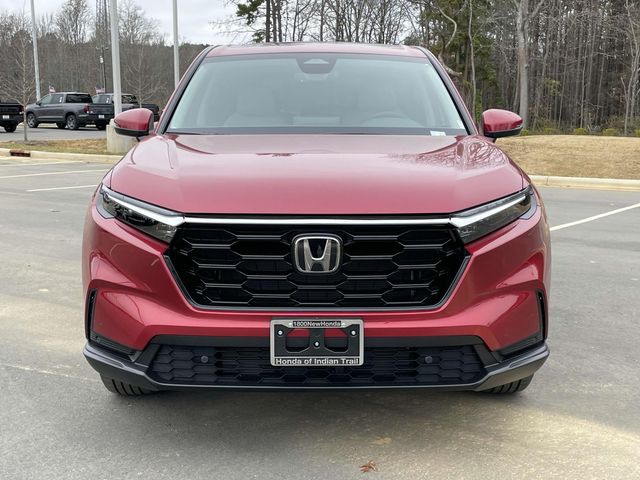 2025 Honda CR-V EX-L 5