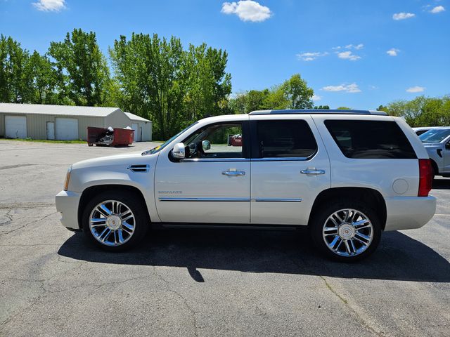 2013 Cadillac Escalade Platinum Edition photo
