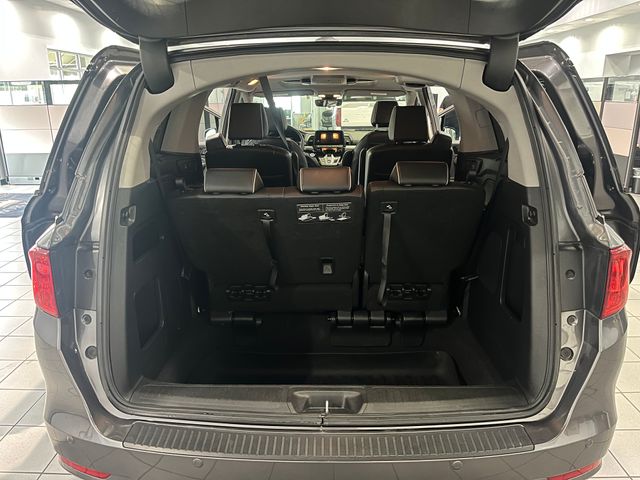 2024 Honda Odyssey Elite Gray at Stokes Honda North