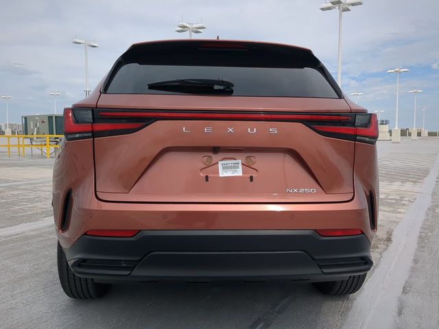 2025 Lexus NX - $39,888