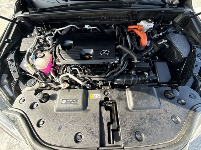 Used 2025 Lexus NX SUV
