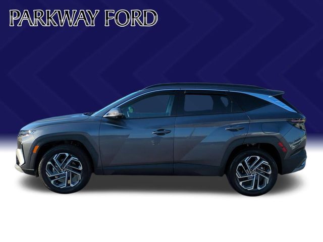 Used 2025 Gray Hyundai Limited image 2