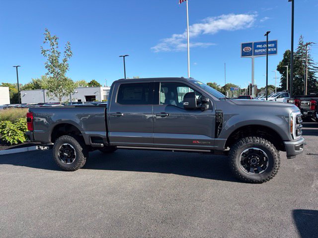 New 2026 Gray Ford Platinum image 2