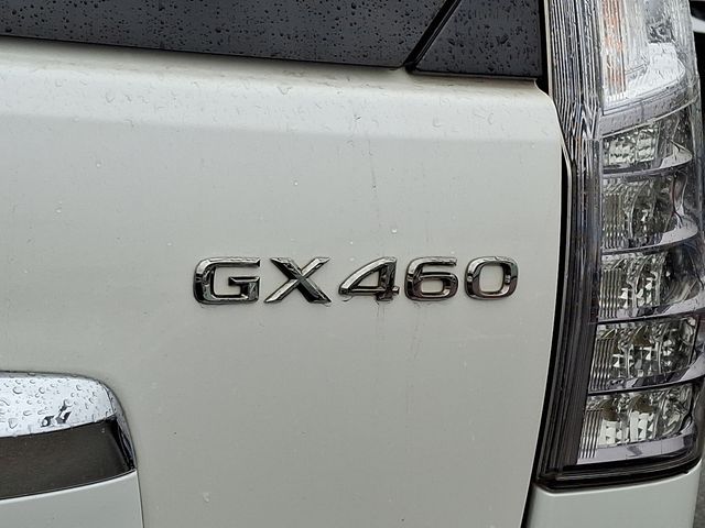 2019 Lexus GX 460 31