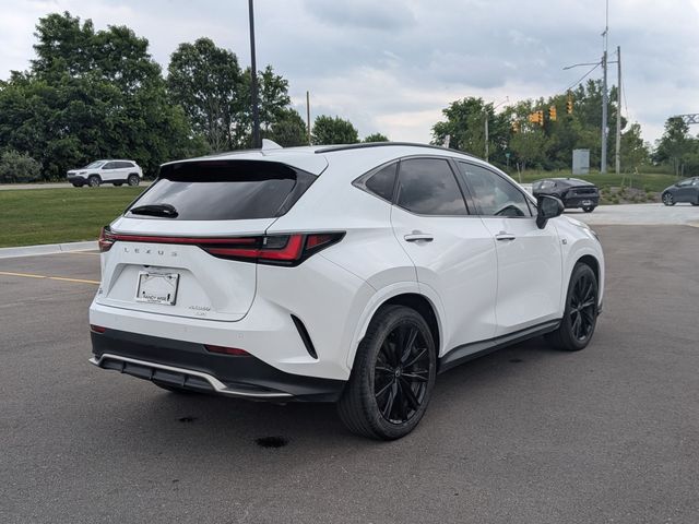 2024 Lexus NX - Image 5