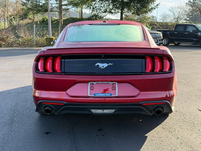 used 2019 Ford Mustang car, priced at $21,995