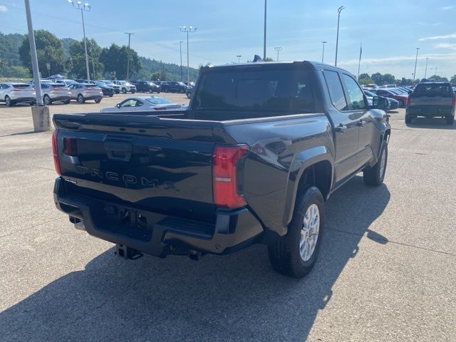 2024 Toyota Tacoma  photo