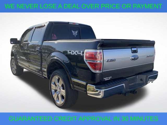 2013 Ford F-150 Platinum 7