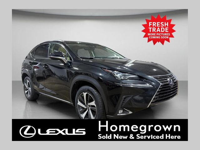 2019 Lexus NX Hybrid 300h AWD
