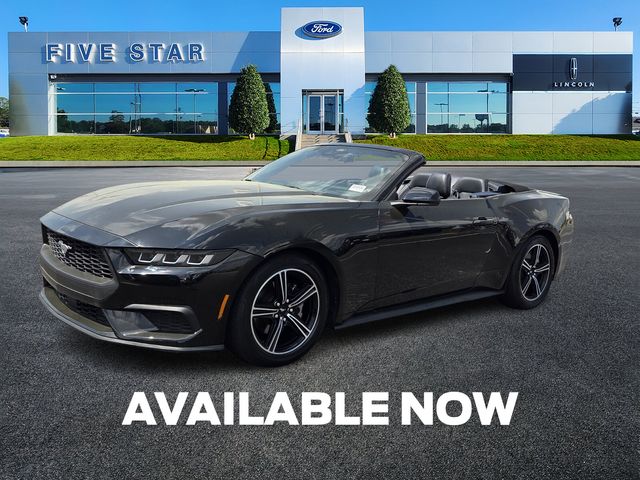 Certified Used 2025 Black Ford EcoBoost Premium image 3