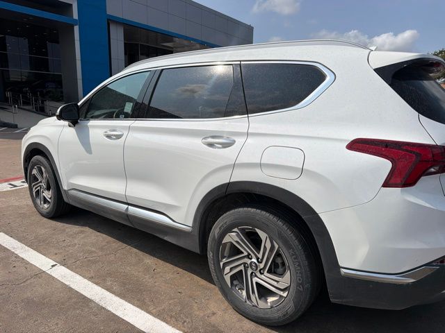 2023 Hyundai Santa Fe SEL White at Cook Ford