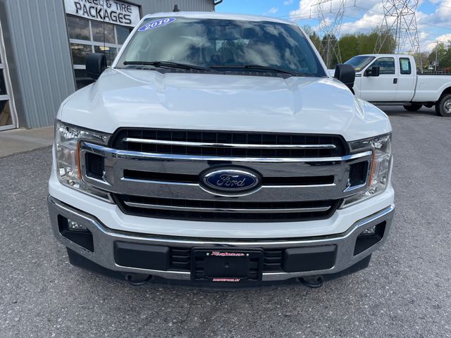 2019 Ford F-150 XLT - Oxford White exterior view 2