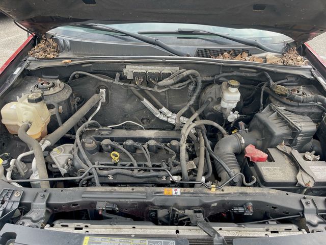 Used 2009 Ford Escape For Sale in Muncie, IN