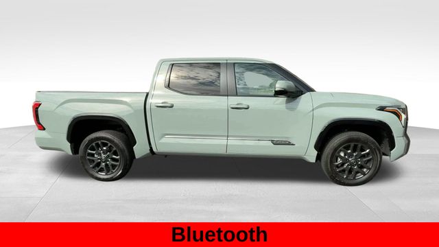 2025 Toyota Tundra Platinum photo