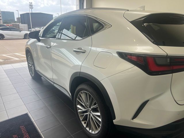 2025 Lexus NX 350 Premium White at Westside Lexus