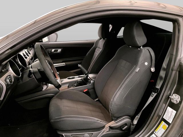 2019 Ford Mustang GT Gray at Grove City Ford