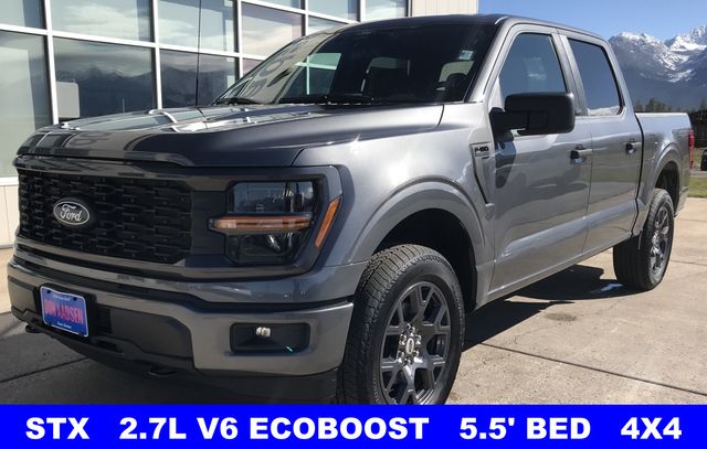 New 2026 Gray Ford STX image 4