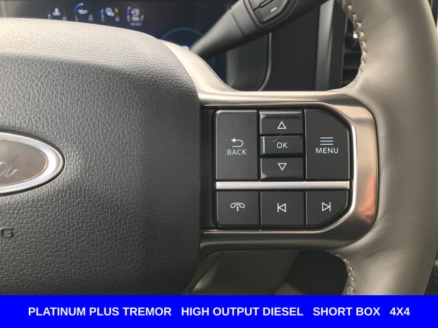 New 2026 Gray Ford Platinum image 13