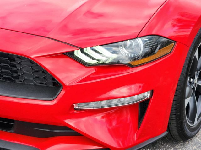 2019 Ford Mustang EcoBoost 8