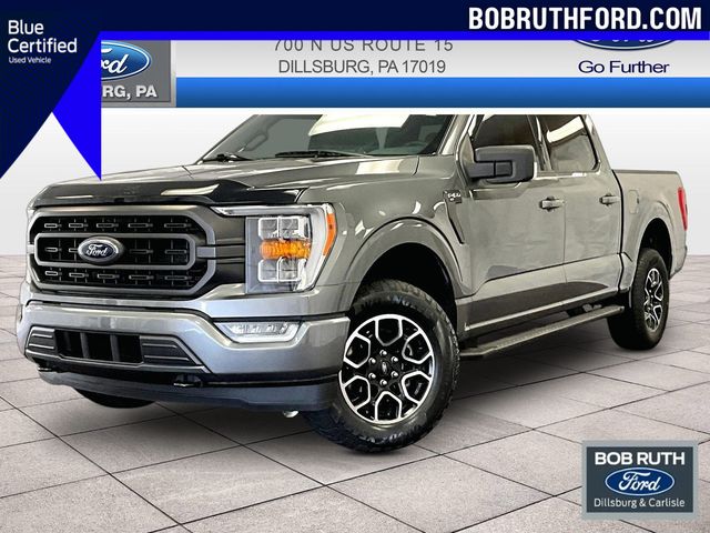 2023 Ford F-150 XLT Gray at Luther Ford