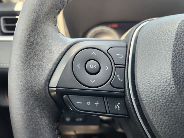 2024 Toyota RAV4 Limited Beige at Toyota of Victoria