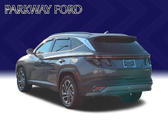 Used 2025 Gray Hyundai Limited image 3