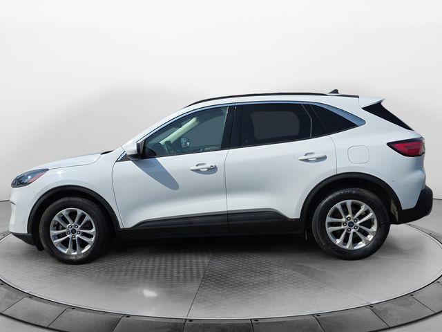 FordEscape2