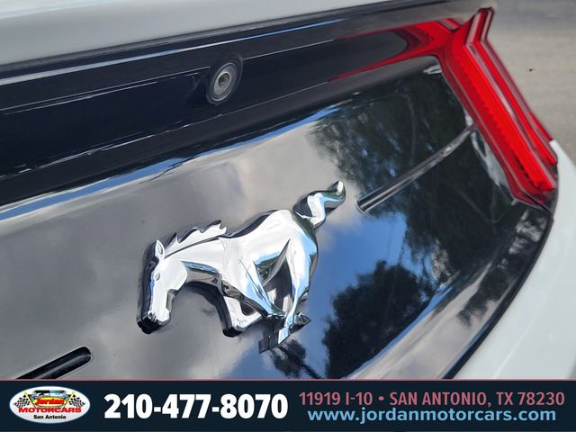 Used Car 2022 Ford Mustang  Ecoboost For Sale Under $25,000 In San Antonio, Texas