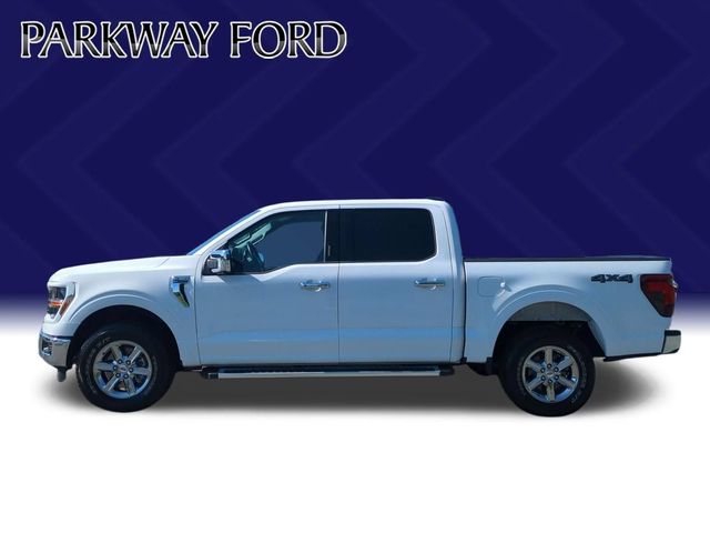 Used 2024 White Ford XLT image 2