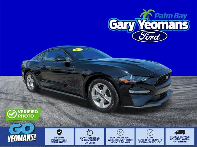 Shadow Black 2023 Ford Mustang EcoBoost Fastback RWD Coupe Rear-Wheel Drive 6-Speed Manual