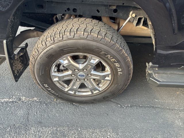 2023 Ford F-150 XLT 4x4 SuperCrew 5-1/2 Box's photo