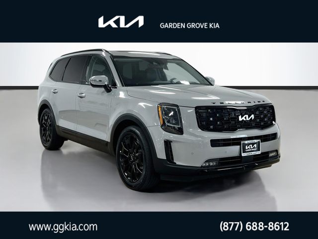 Wolf Gray 2022 Kia Telluride SUV / Crossover All-Wheel Drive 8-Speed Automatic