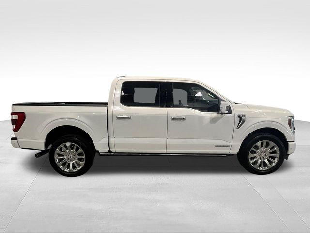 2023 Ford F-150 Limited White at Matthews Motors of Wilmington