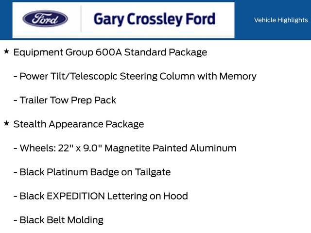 New 2027 Gray Ford Platinum image 3