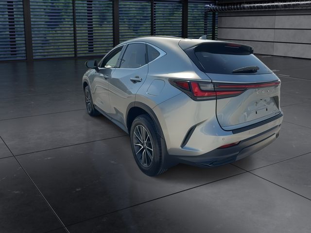 2025 Lexus NX - $47,888