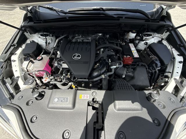 2024 Lexus NX 350h - $42,998