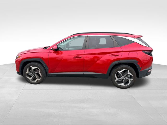 2023 Hyundai Tucson SEL Red at Stokes Mazda