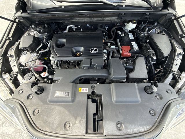 Used 2025 Lexus NX SUV