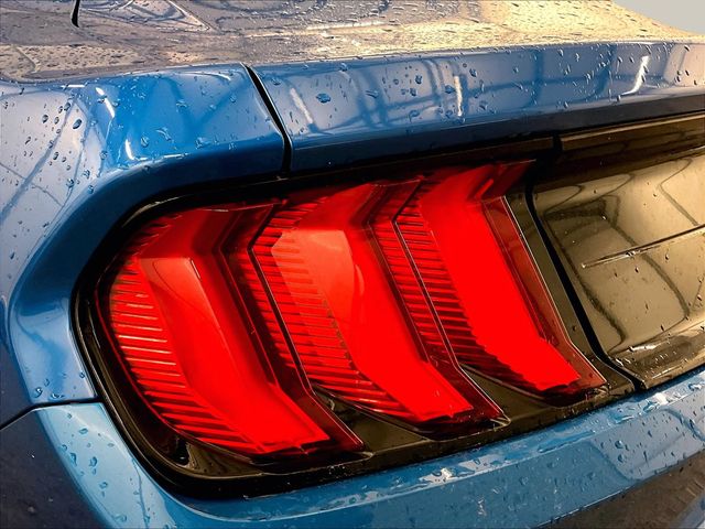 2020 Ford Mustang EcoBoost Blue at Bob Ruth Ford