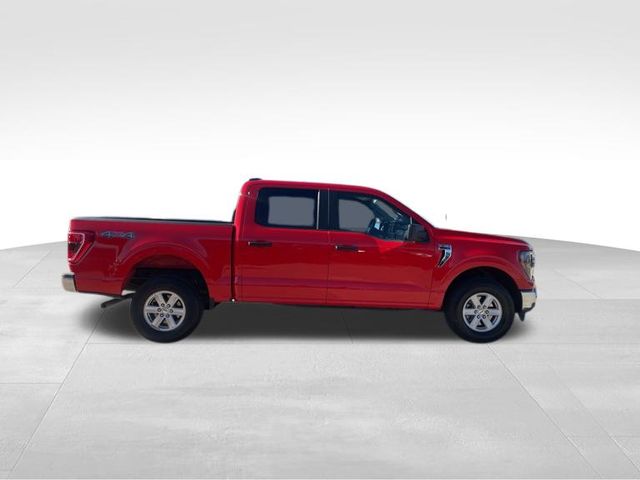 2023 Ford F-150 XLT 3